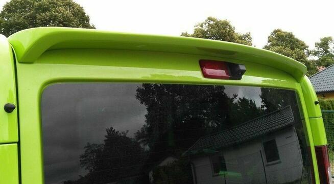 OP[EL VIVARO SPOILER DASZEK LOTKA