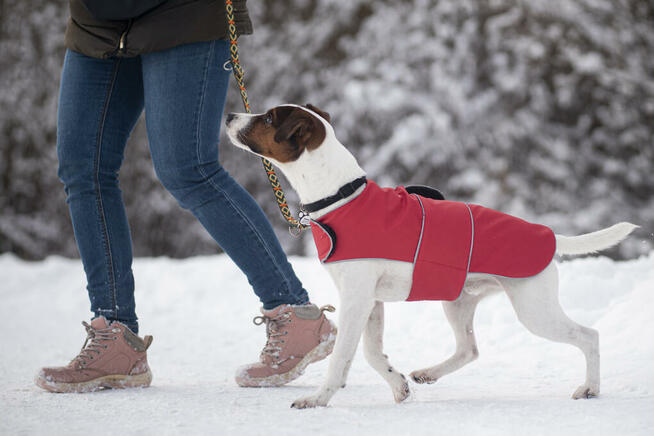 Płaszcz przeciwdeszczowy dla psa Pierrot Moda
