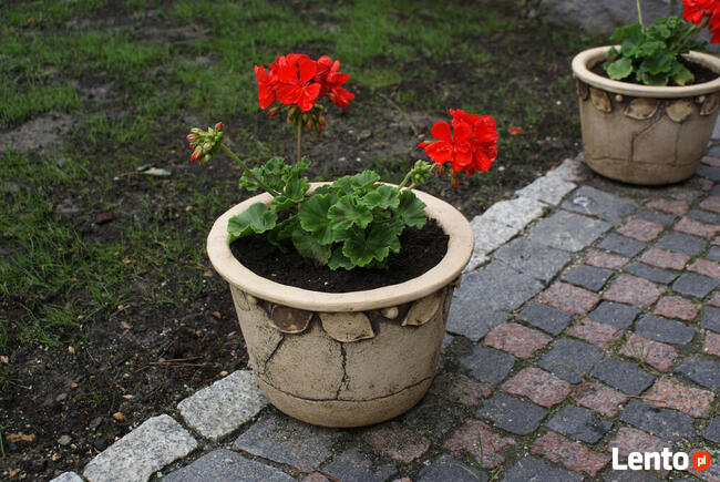 Ceramiczna donica ogrodowa 55 x 52 cm. mrozoodporna