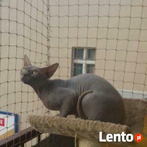 Montaż siatki na balkon na okno Łódź , jak wykonać ?