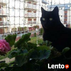 Montaż siatki na balkon na okno Łódź , jak wykonać ?