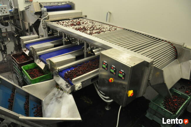 Projektowanie i budowa maszyn dla przemysłu spożywczego