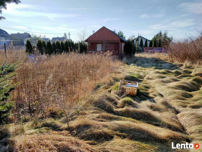 Wynajmę działkę w Międzylesiu