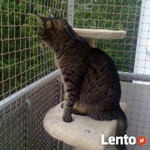 Montaż siatki na balkon na okno Łódź , jak wykonać ?