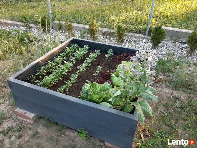 Tarasy, altany, domki drewniane, meble na wymiar.