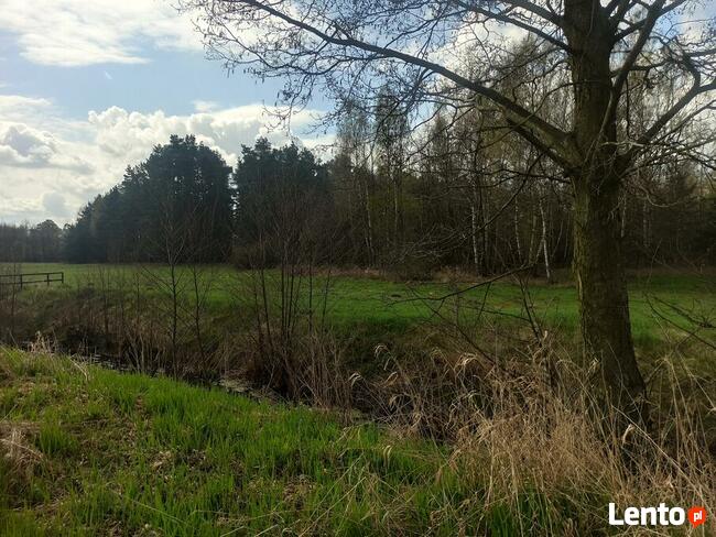 Hipolitów Piękna działka od 3000 m kw przy asfaltowej drodze