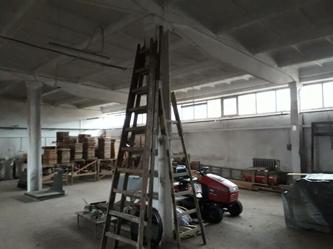 Hala, magazyn do wynajęcia