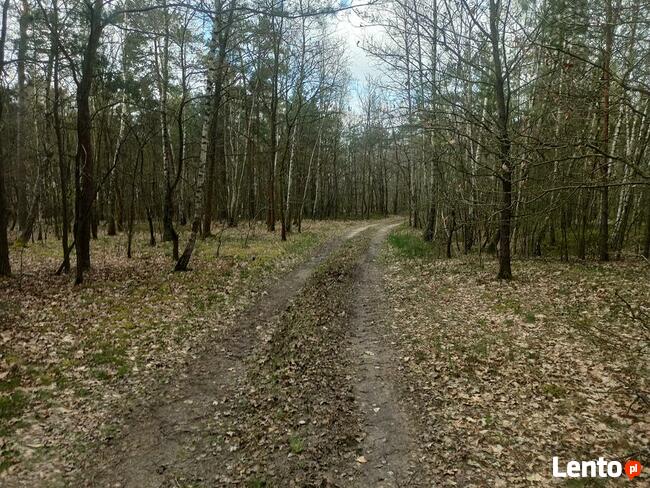 Hipolitów Piękna działka od 3000 m kw przy asfaltowej drodze