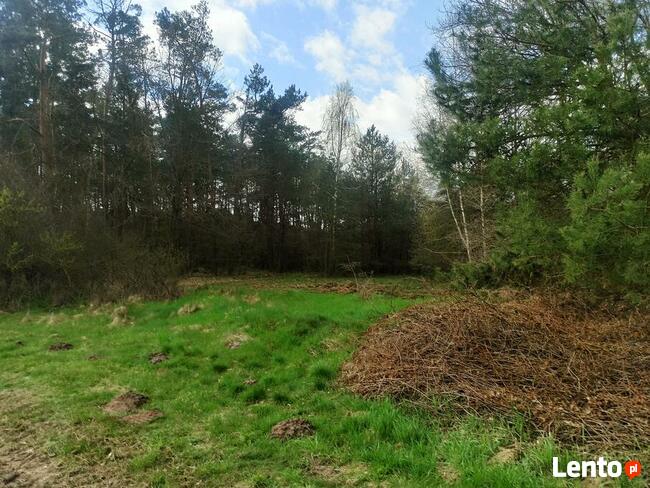 Hipolitów Piękna działka od 3000 m kw przy asfaltowej drodze