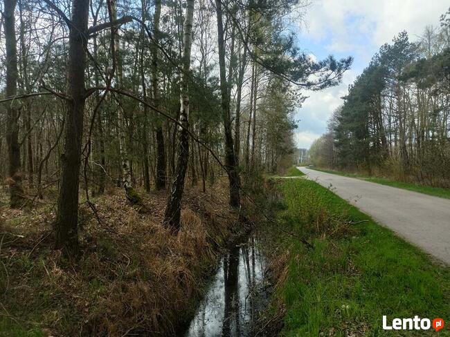 Hipolitów Piękna działka od 3000 m kw przy asfaltowej drodze