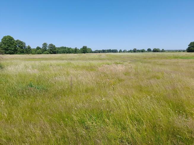 Bezpośrednio sprzedam działkę na raty.
