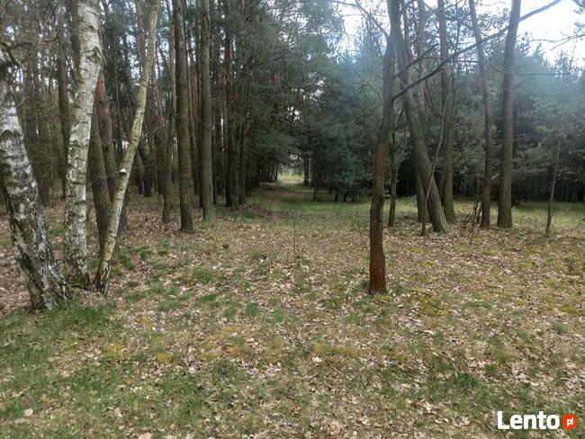 Hipolitów Piękna działka od 3000 m kw przy asfaltowej drodze