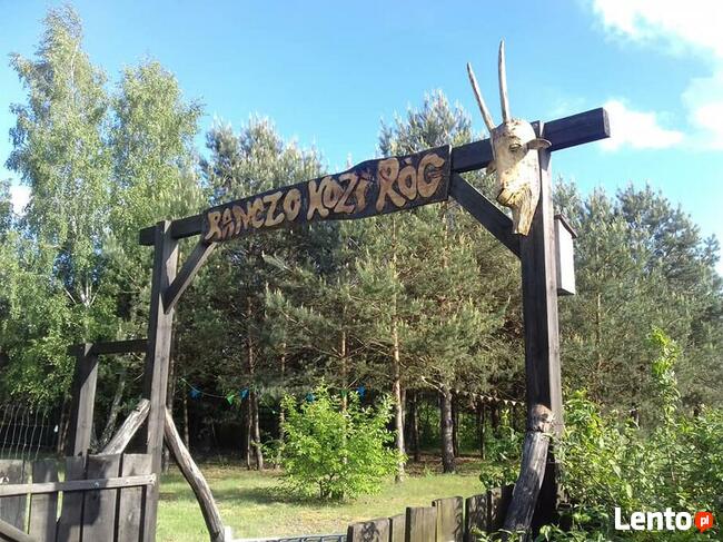 Wakacje pod Tipi Wioska Folkowa pod Płockiem