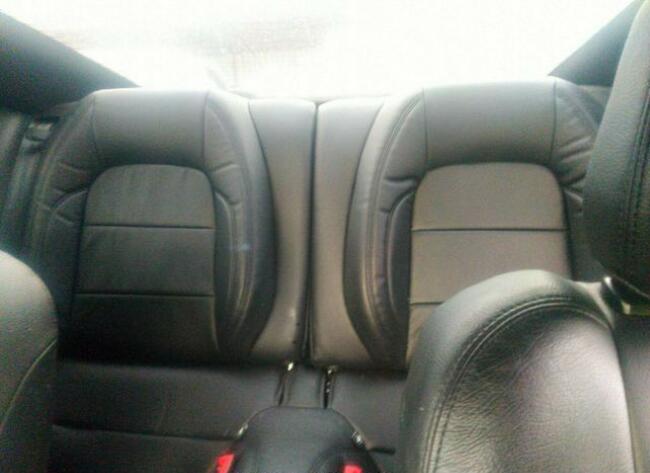 Ford Mustang 2020, 5.0L, po gradobiciu