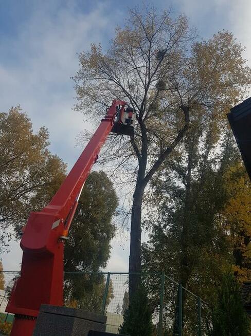 Ziemia ogrodowa kora sosnowa Wycinka drzew Warszawa