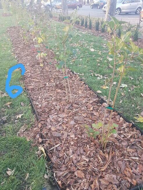 Kora sosnowa ogrodowa Ziemia uniwersalna kwiatowa Torf kwaśn