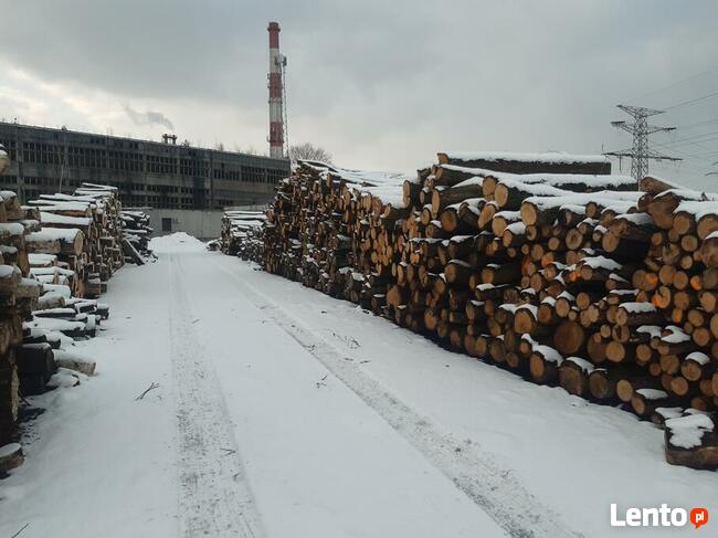 Drewno opałowe Wodzisław Śl ,Rybnik, Racibórz ,Jastrzębie Zd