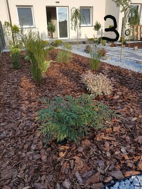 Kora sosnowa ogrodowa Ziemia uniwersalna kwiatowa Torf kwaśn