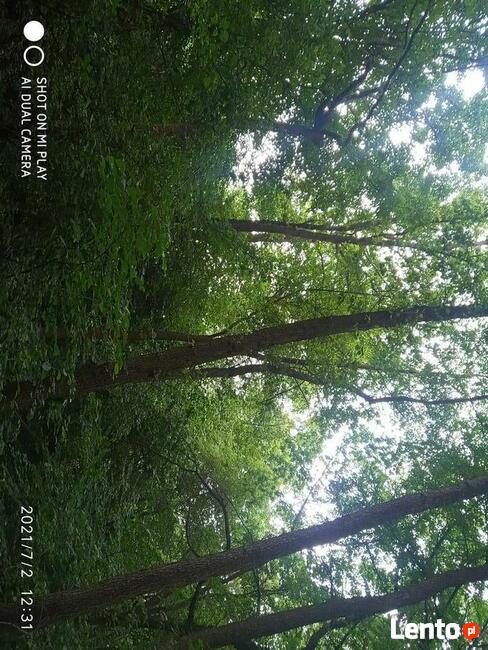 Piękna działka budowlano rolna z lasem sprzeda Wlasciciel