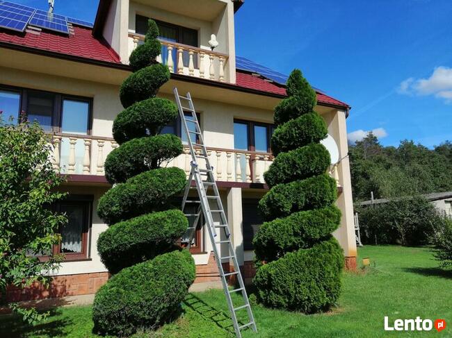 Przycinanie Drzew Owocowych oraz Krzewów