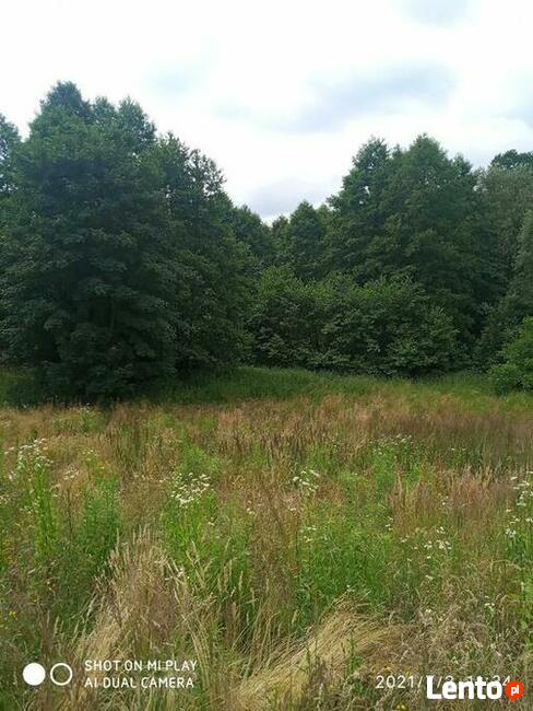 Piękna działka budowlano rolna z lasem sprzeda Wlasciciel