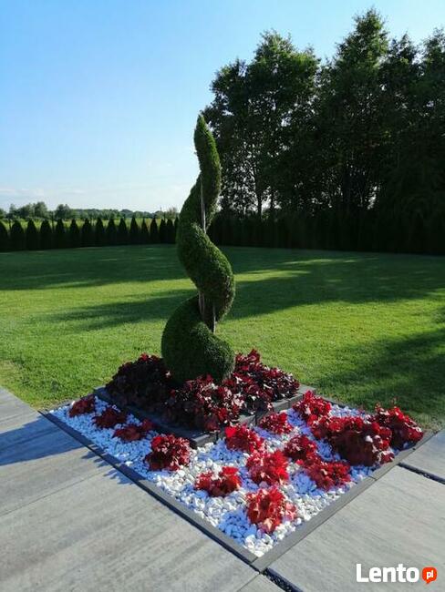 Przycinanie Drzew Owocowych oraz Krzewów