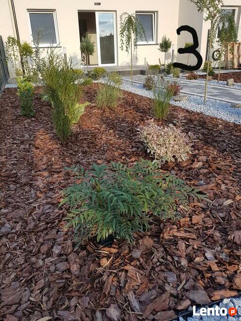 Kora sosnowa Torf kwaśny Ziemia uniwersalna kwiatowa