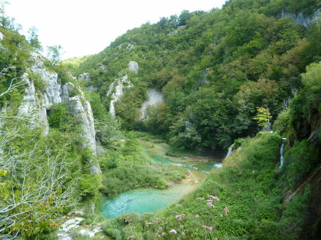 Całe Bałkany !! Pilotaż ,Noclegi , programy !