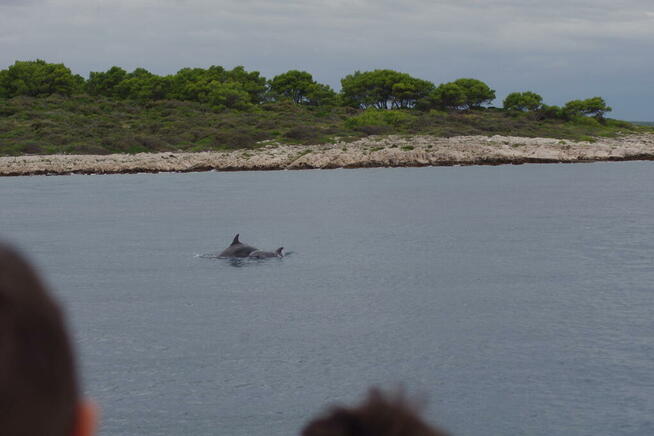 CHORWACJA 27.09-4.10 .2026 r. samolot Hotel 4* Pobyt 1990 zł