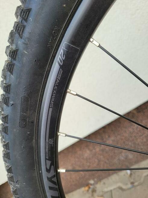 Rower Scott Roxter 610 XS Green/G