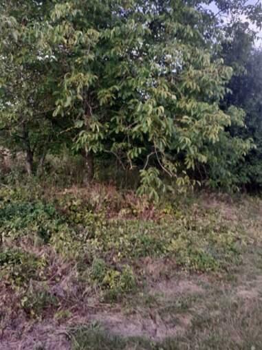 Działka gmina Busko-Zdrój