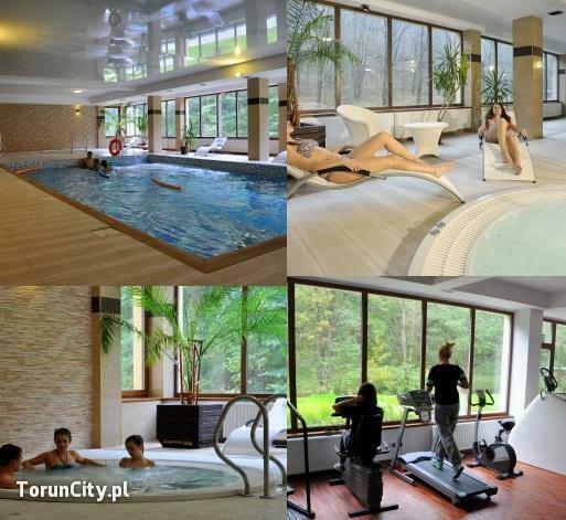 Turnus Odpornościowy