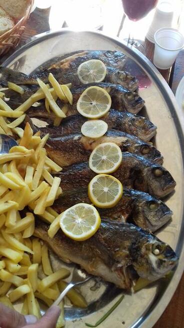 CHORWACJA 27.09-4.10 .2026 r. samolot Hotel 4* Pobyt 1990 zł