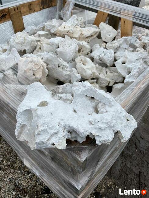 WAPIEŃ FILIPIŃSKI Kamień do Akwarium Biały Wapień Warszawa