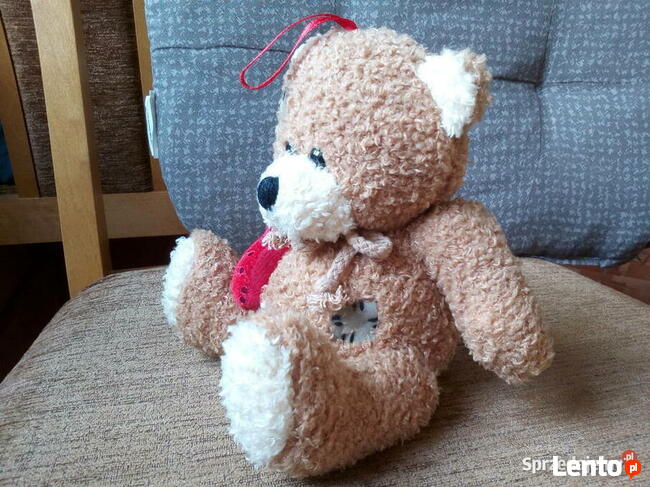 Miś pluszak używany