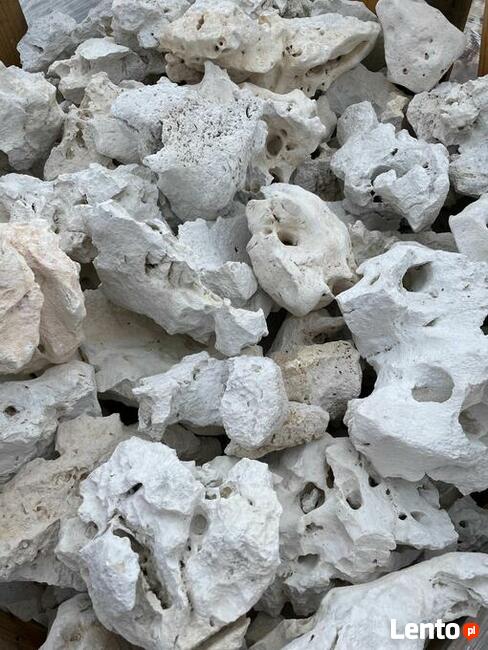 WAPIEŃ FILIPIŃSKI Kamień do Akwarium Biały Wapień Warszawa