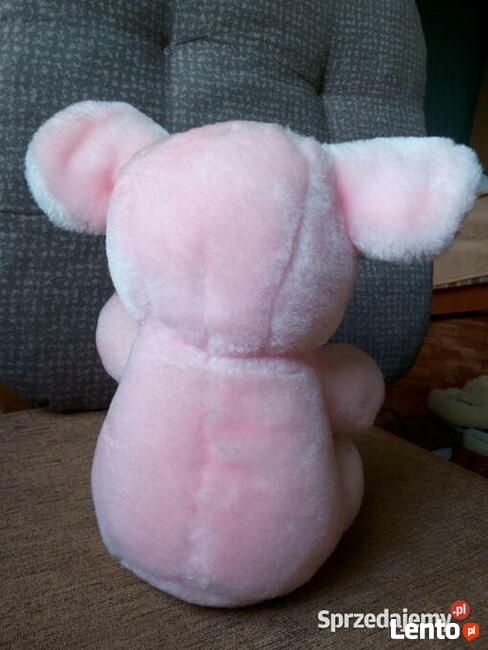 Pluszak słonik używany