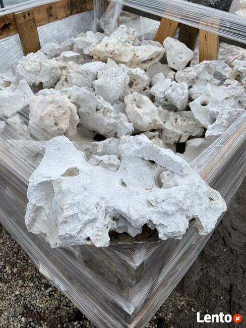 WAPIEŃ FILIPIŃSKI Biały Wapień Filipino Wołomin