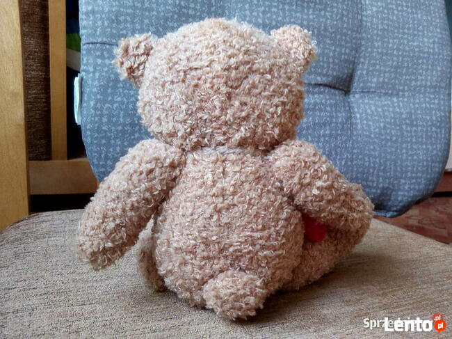 Miś pluszak używany