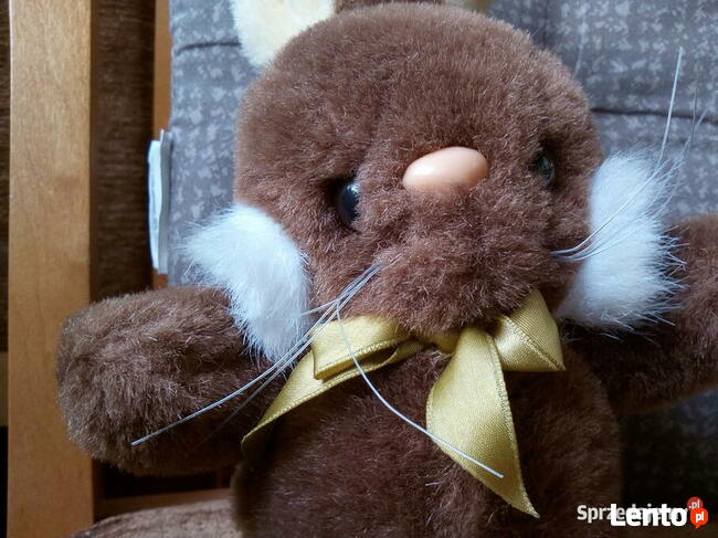 Pluszak zając używany