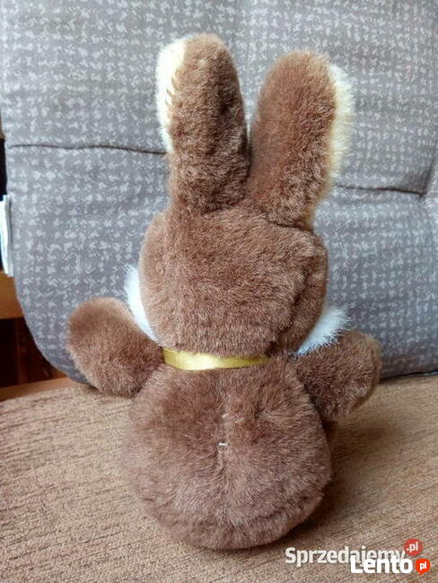 Pluszak zając używany