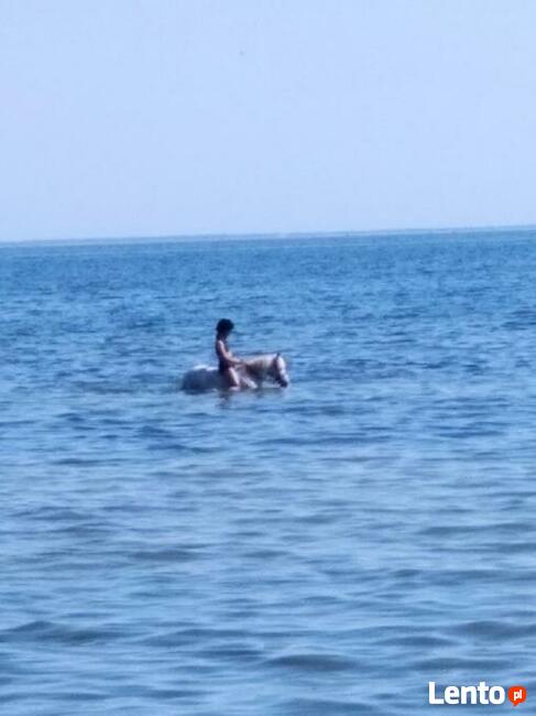 Koleżeństwo, przyjazn , potem ...