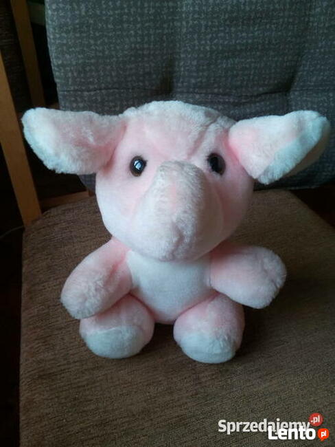 Pluszak słonik używany