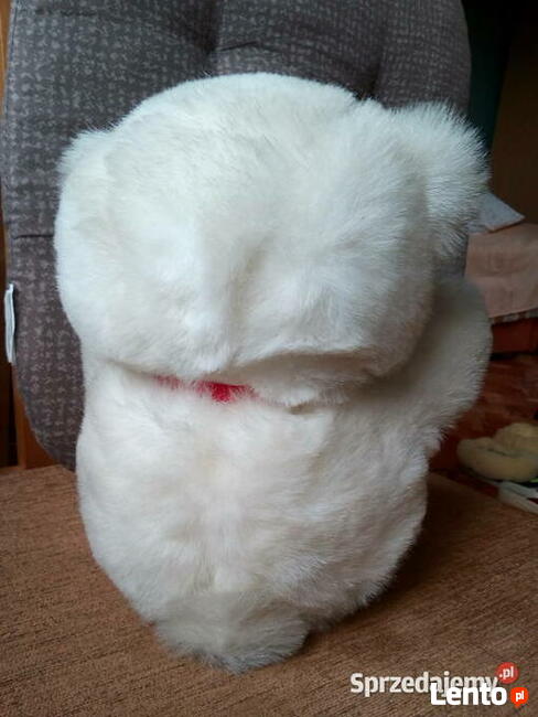 Używany miś pluszak