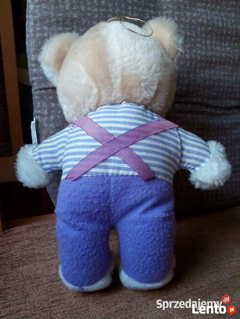 Miś pluszak używany