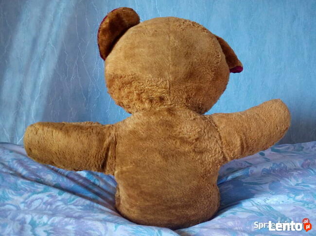 Miś leżący długość ok. 60 cm