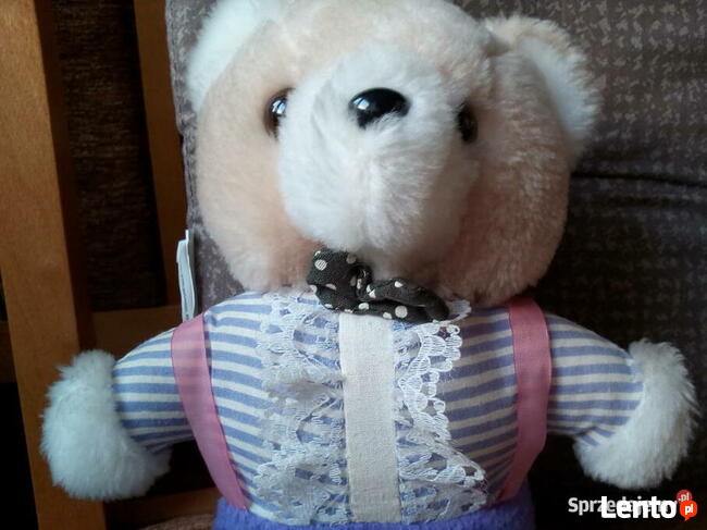 Miś pluszak używany