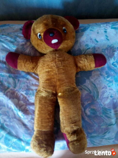 Miś leżący długość ok. 60 cm