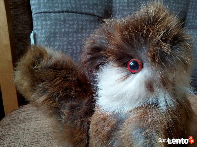 Używany pluszak wiewiórka