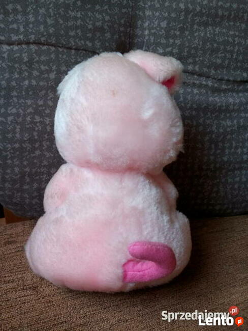 Pluszak świnka używany